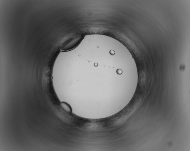 X0000103330356200809261206