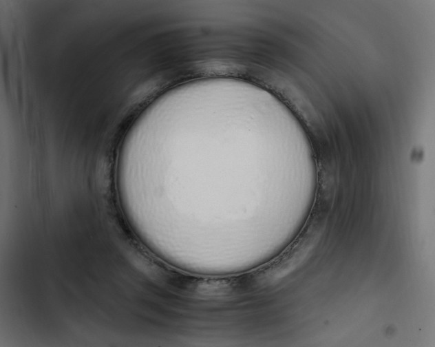 X0000103330357200809261206