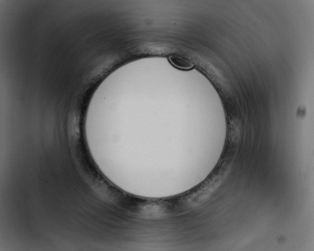 X0000103330358200809261206