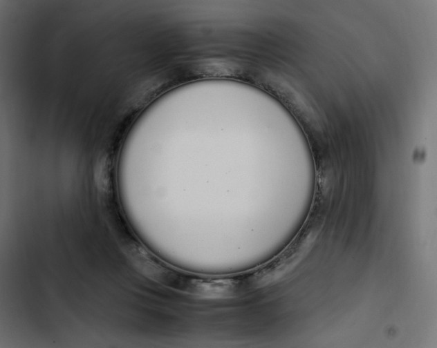 X0000103330359200809261206