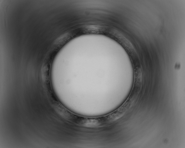 X0000103330361200809261206