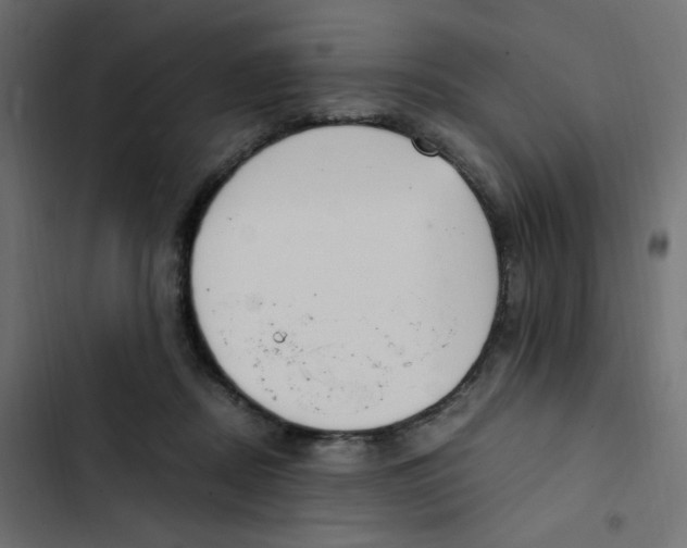 X0000103330362200809261206