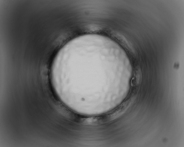 X0000103330366200809261206