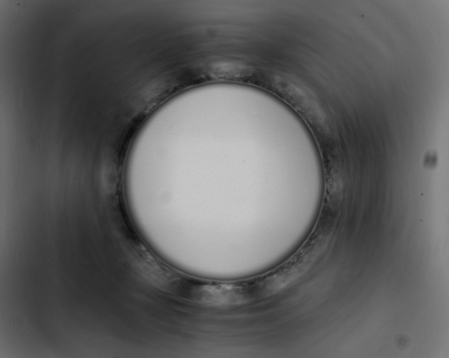 X0000103330367200809261206