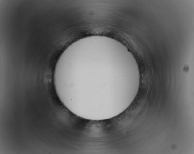 X0000103330368200809261206