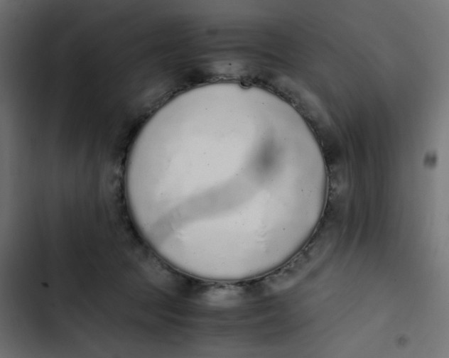 X0000103330369200809261206