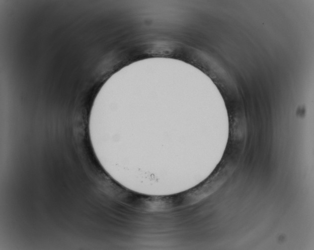 X0000103330370200809261206