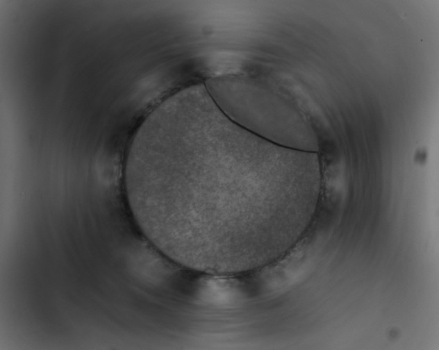 X0000103330372200809261206