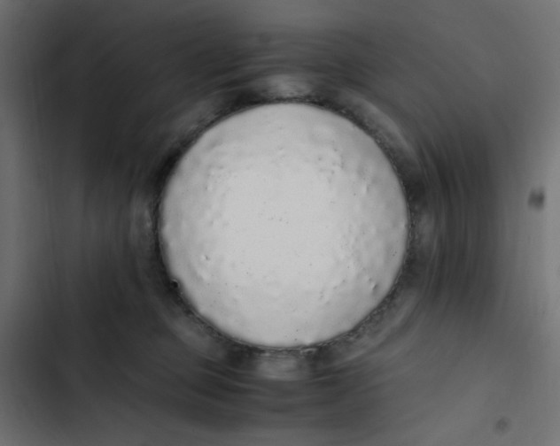 X0000103330373200809261206