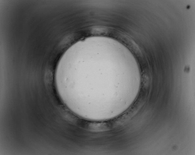 X0000103330375200809261206