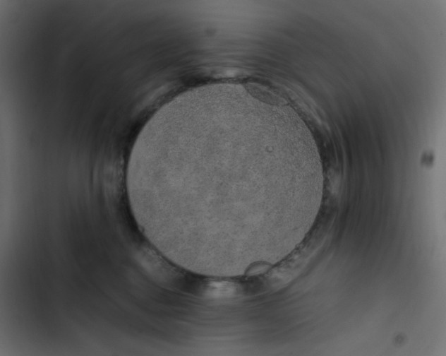 X0000103330376200809261206