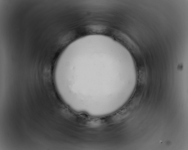 X0000103330377200809261206