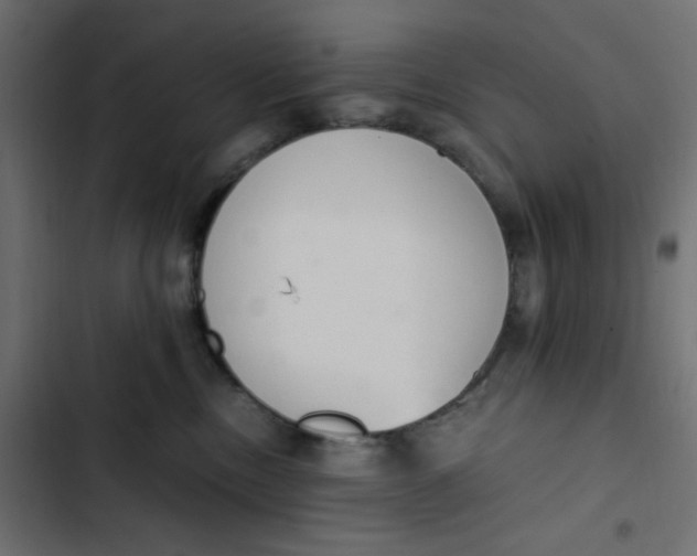 X0000103330378200809261206