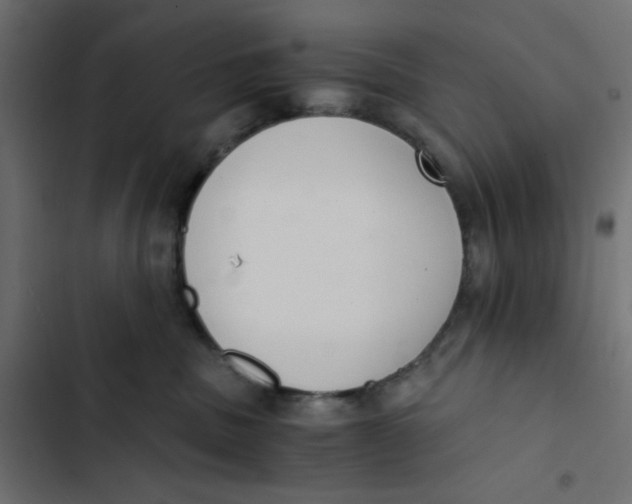 X0000103330379200809261206