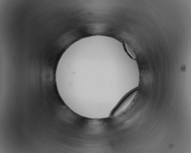 X0000103330380200809261206