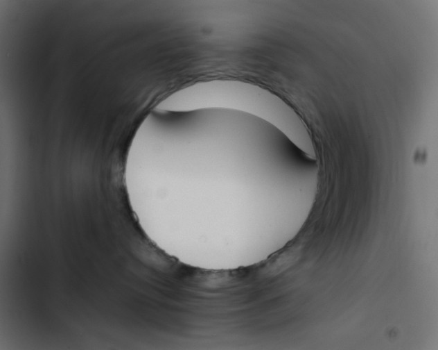 X0000103330384200809261207