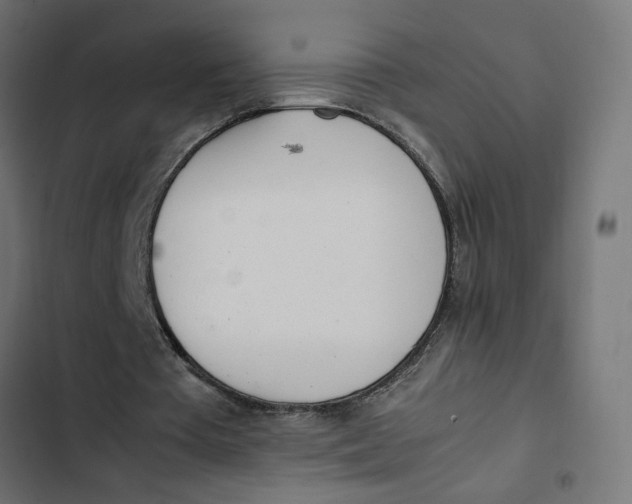 X0000103330385200809261206