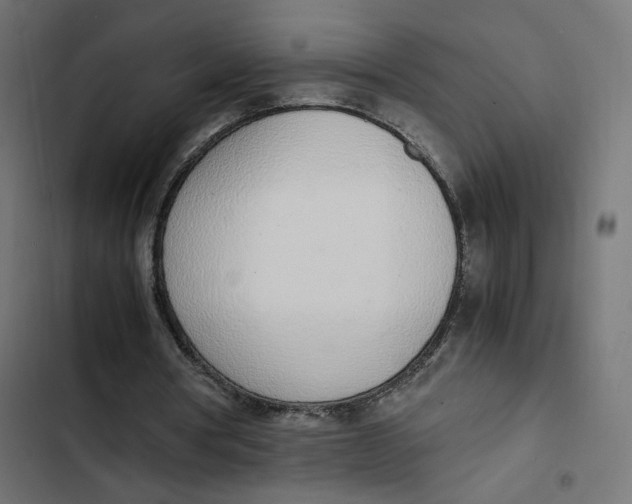 X0000103330386200809261206