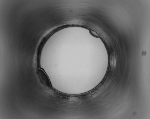 X0000103330388200809261206