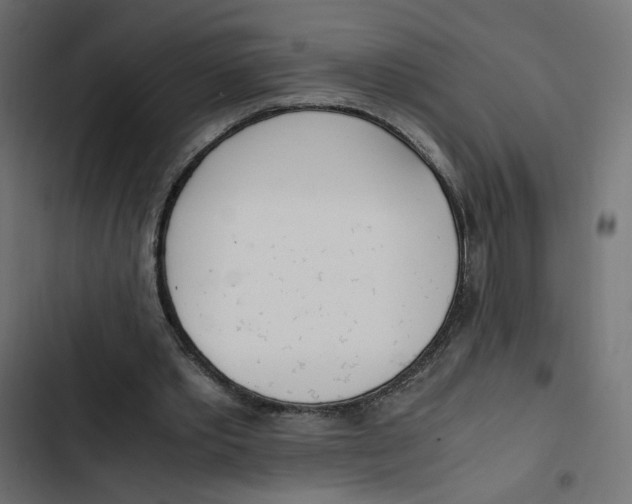 X0000103330389200809261206