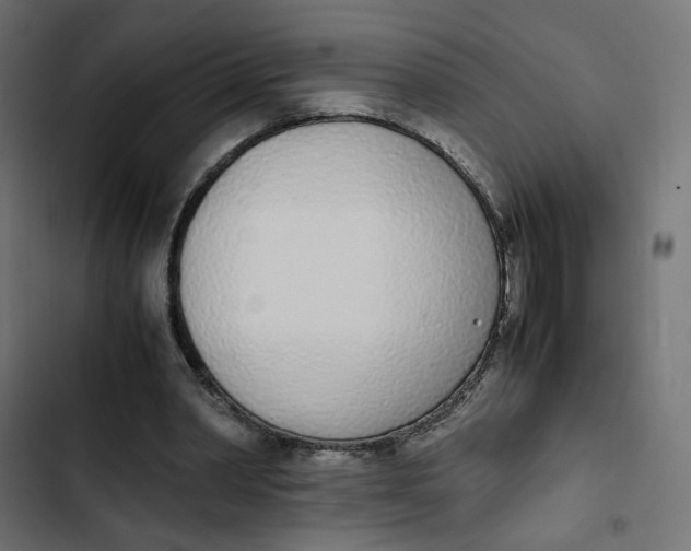 X0000103330390200809261206