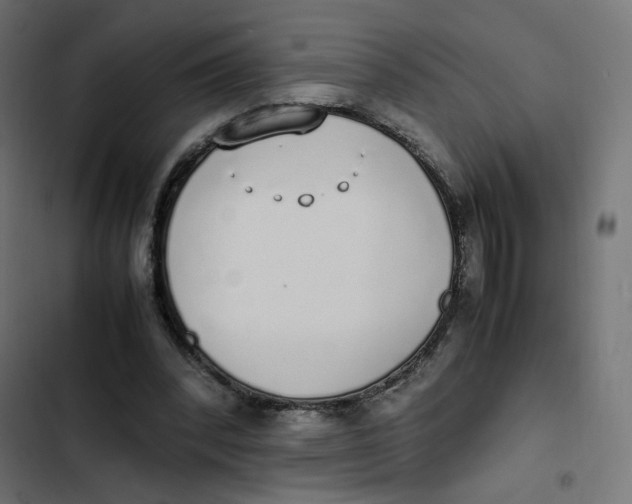 X0000103330392200809261206