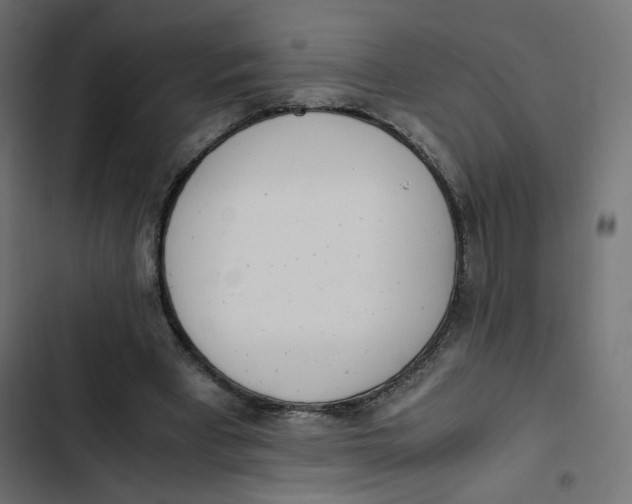 X0000103330393200809261206