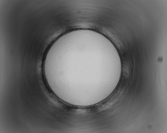 X0000103330394200809261206