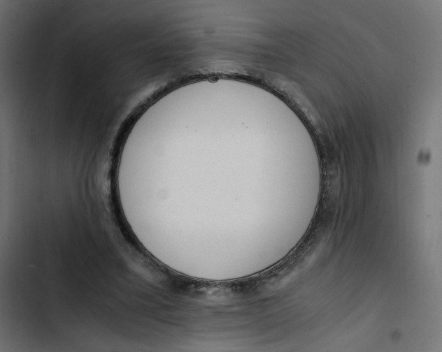 X0000103330395200809261206