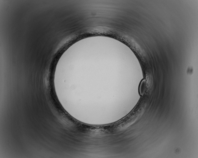 X0000103330396200809261206