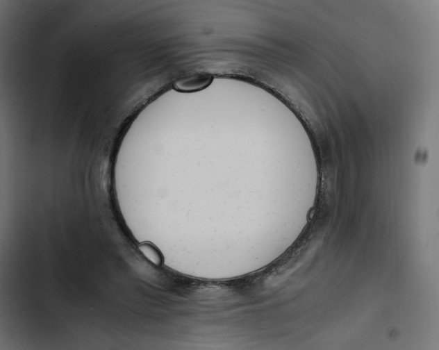 X0000103330397200809261206