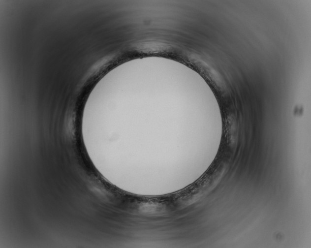 X0000103330400200809261206