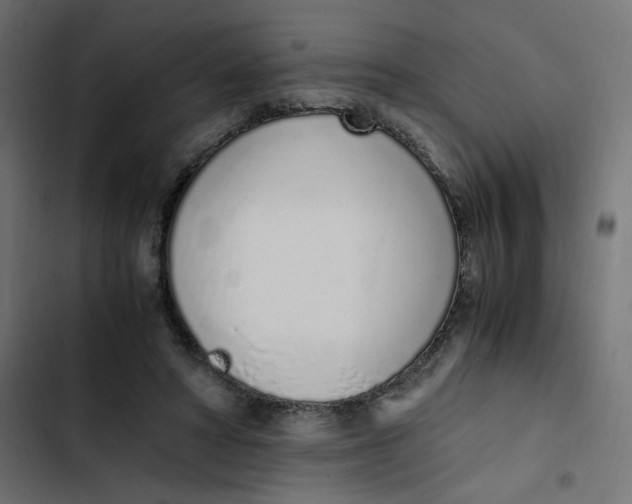 X0000103330402200809261206