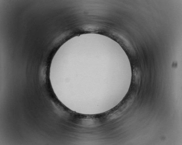 X0000103330404200809261206