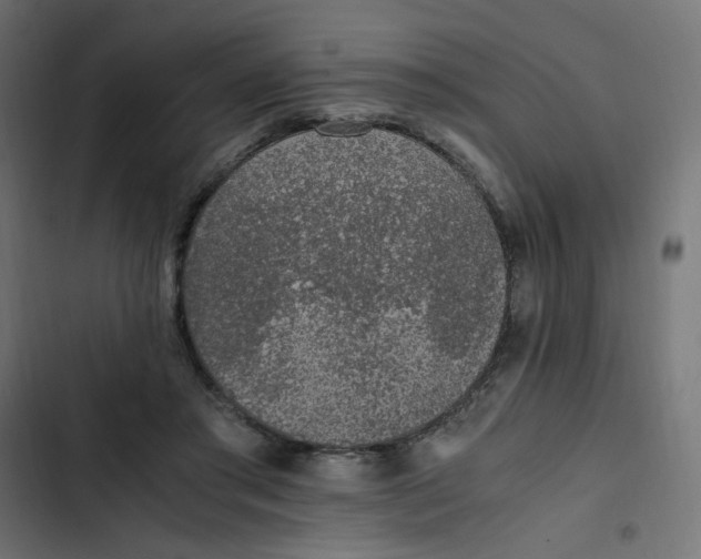 X0000103330405200809261206