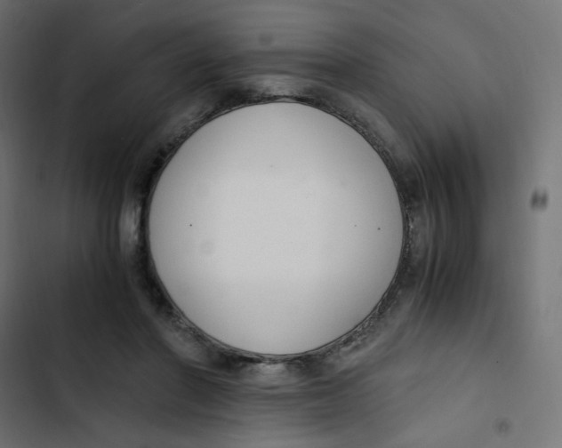 X0000103330406200809261206