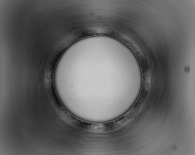 X0000103330410200809261206