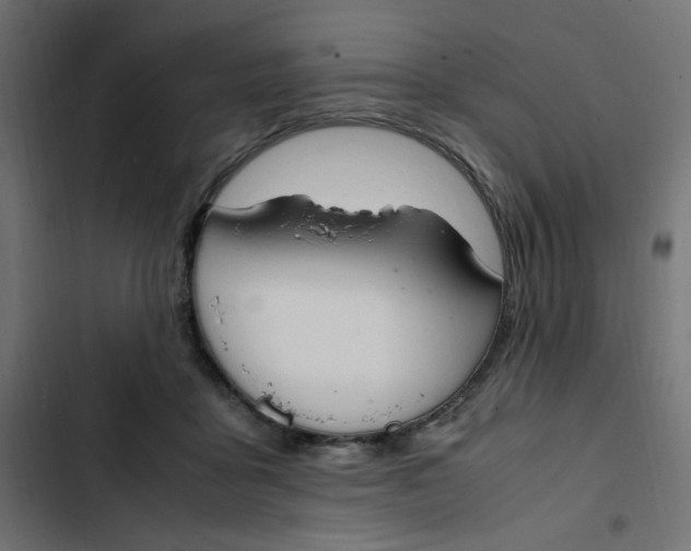 X0000103330411200809261206