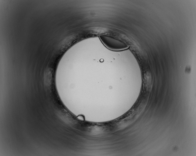 X0000103330412200809261206