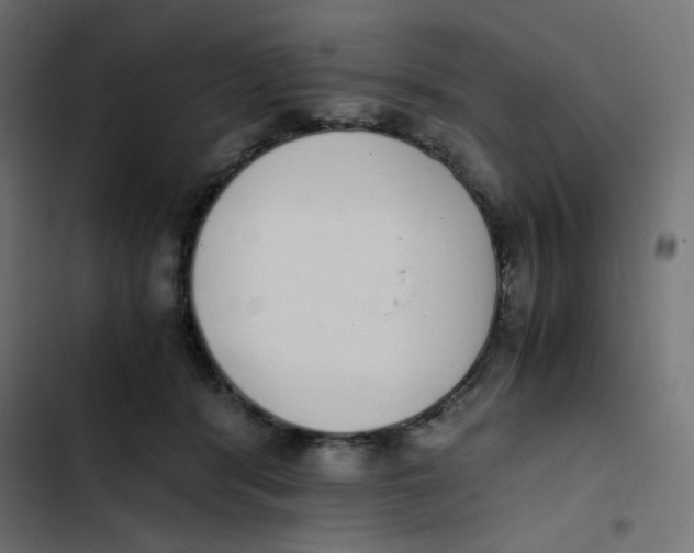 X0000103330416200809261205