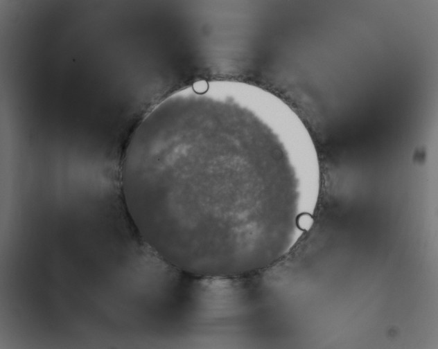 X0000103330419200809261205