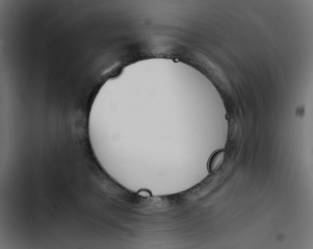 X0000103330421200809261205