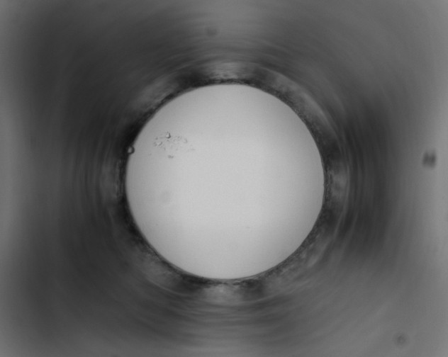 X0000103330422200809261205