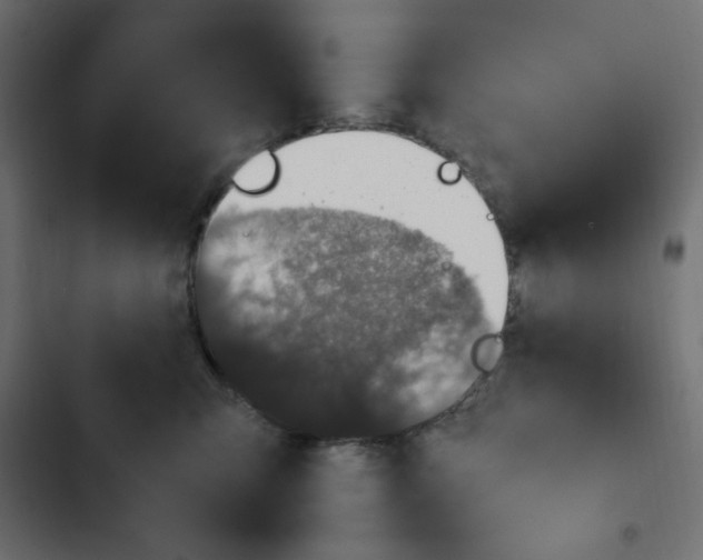 X0000103330423200809261205