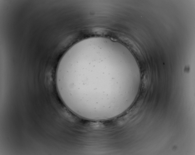 X0000103330424200809261205