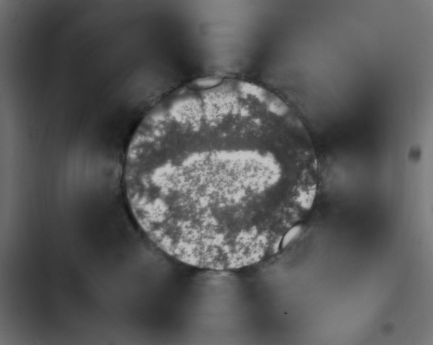 X0000103330427200809261205