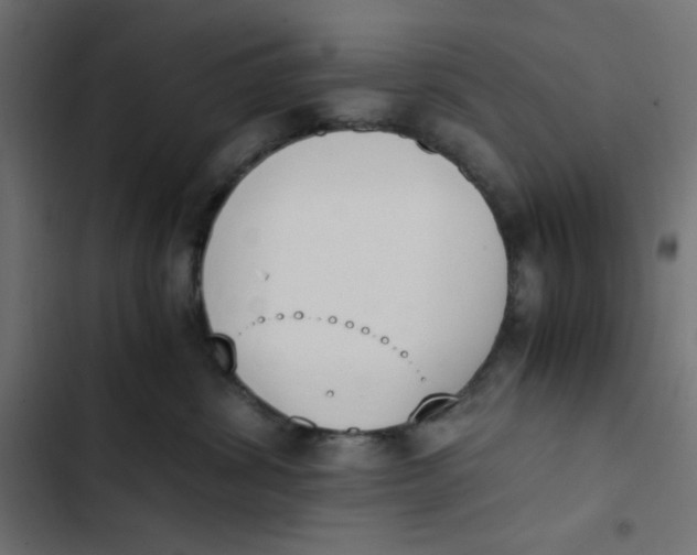 X0000103330428200809261205