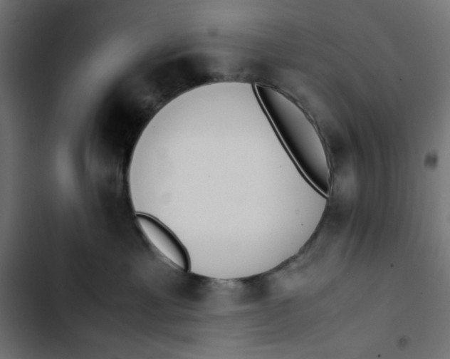 X0000103330429200809261205