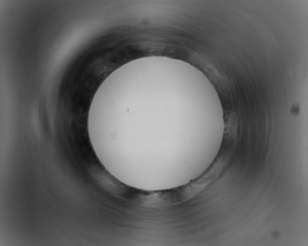 X0000103330430200809261205