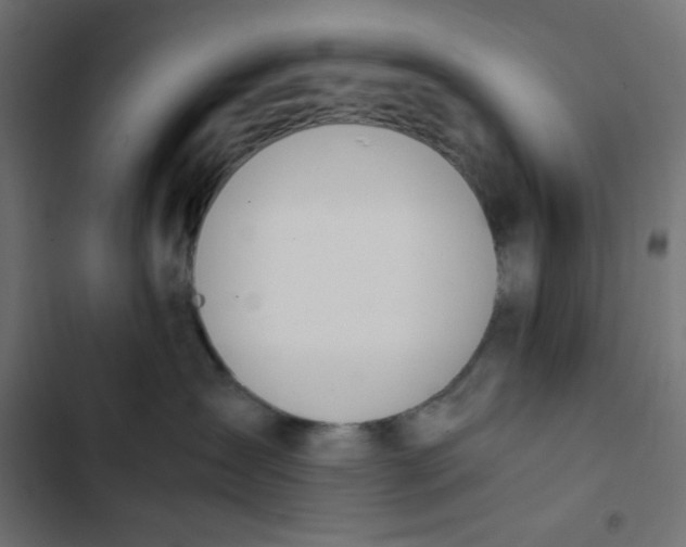 X0000103330431200809261205